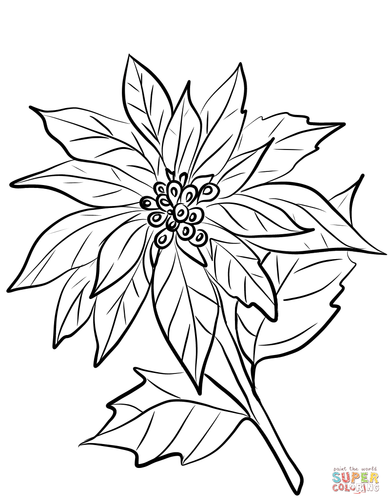 Bouquet Of Flowers Coloring Pages 800x1035 Bouquet Of Flowers Coloring Pages