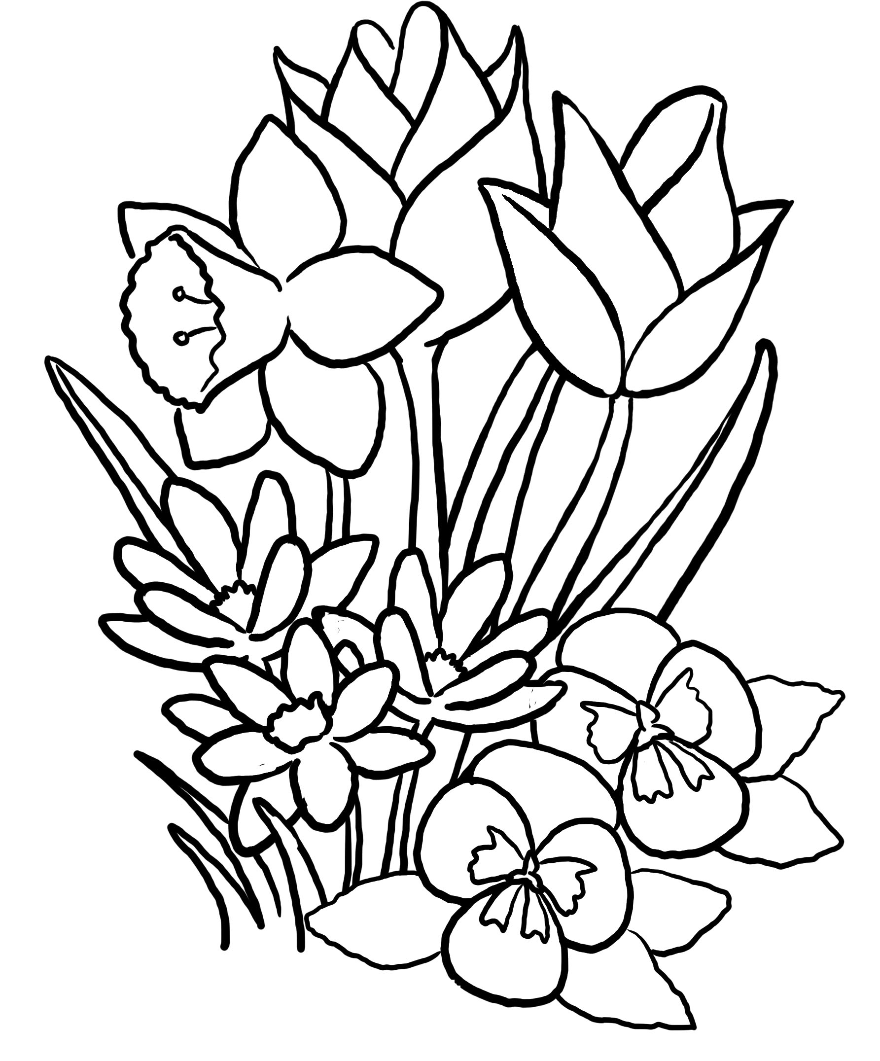 Free Flower Coloring Pages Gallery 1785x2152 Free Flower Coloring Pages Gallery