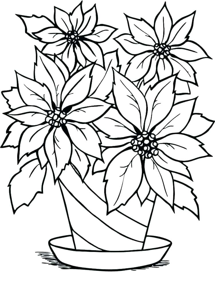 Poinsettia Coloring Pages Flower Coloring Pages Poinsettia 750x1000 Poinsettia Coloring Pages Flower Coloring Pages Poinsettia
