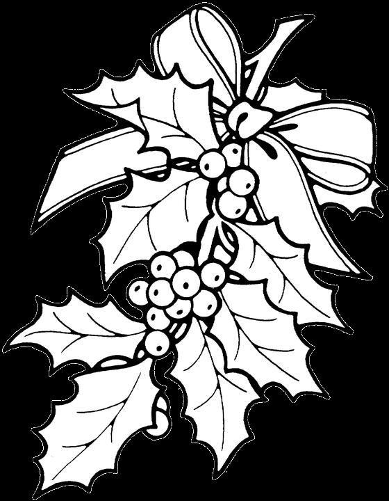 Xmas Coloring Pages Inspirational Free Christmas Flower Color 560x720 Xmas Coloring Pages Inspirational Free Christmas Flower Color