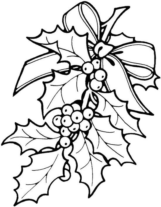 Christmas Flower Coloring Pages 550x707 Christmas Flower Coloring Pages