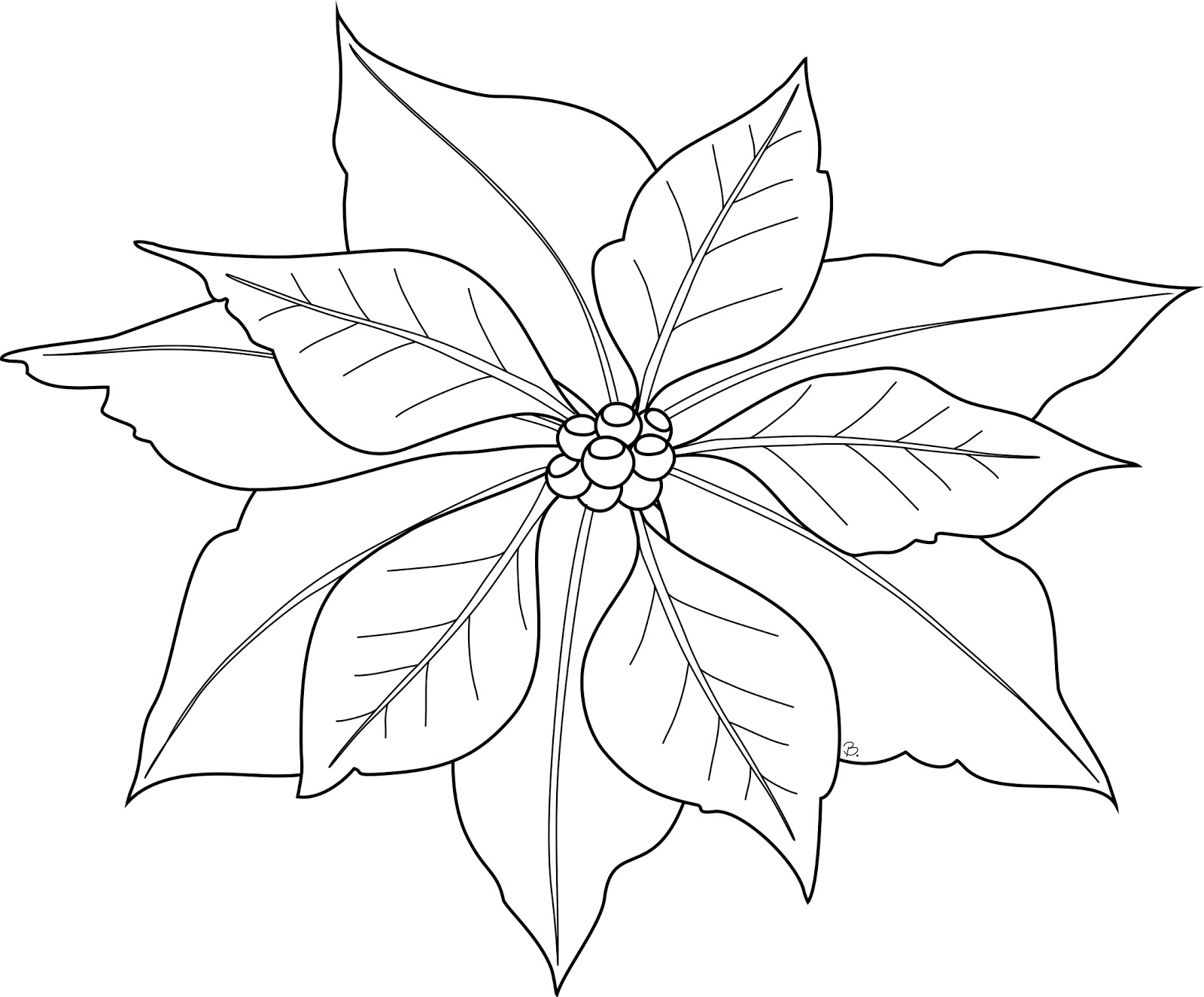 Christmas Flower Coloring Pages 1600x1325 Christmas Flower Coloring Pages