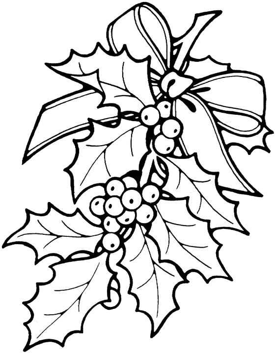 560x720 Christmas Coloring Pages Holly Free Coloring Page