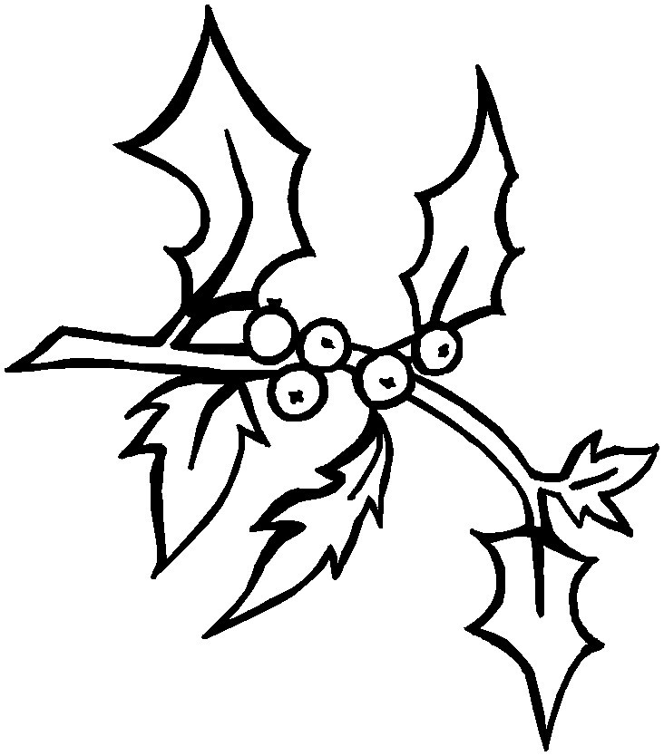 Page 41 732x834 Page 41