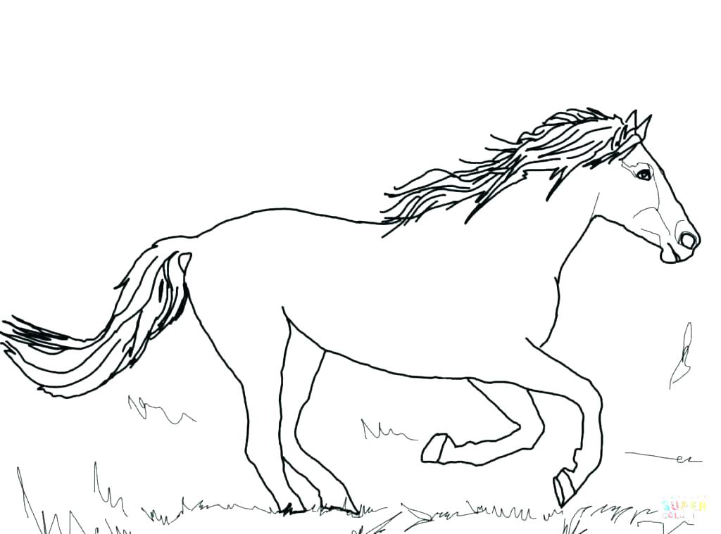 Christmas Horse Coloring Pages Free Printable Cartoon Horse 1024x759 Christmas Horse Coloring Pages Free Printable Cartoon Horse
