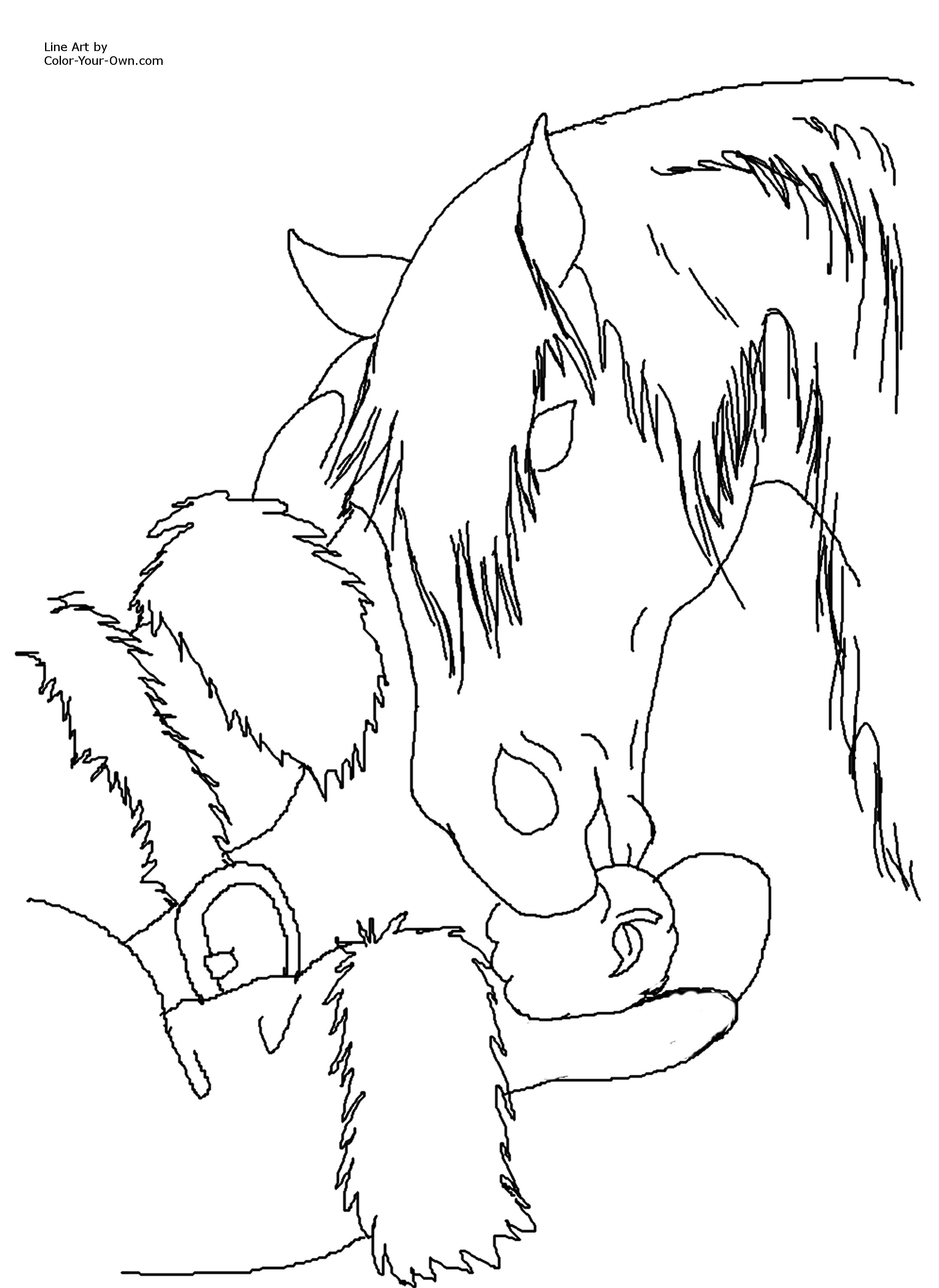 Horse Coloring Page 2188x3000 Horse Coloring Page