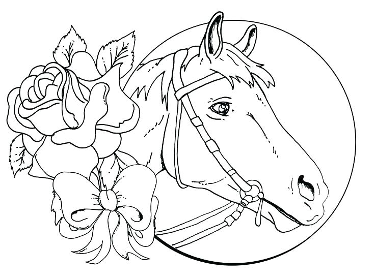 Horse Pictures To Color F Horse Coloring Appaloosa Pages Christmas 736x551 Horse Pictures To Color F Horse Coloring Appaloosa Pages Christmas