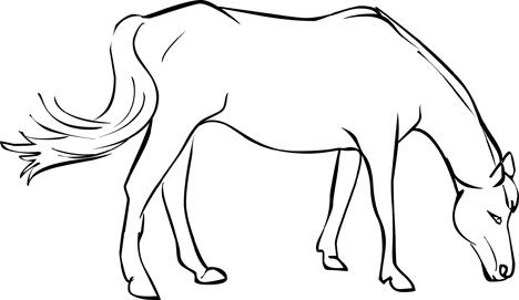 Free Horse Coloring Pages 8.jpg Pixels 468x271 Free Horse Coloring Pages 8.jpg Pixels