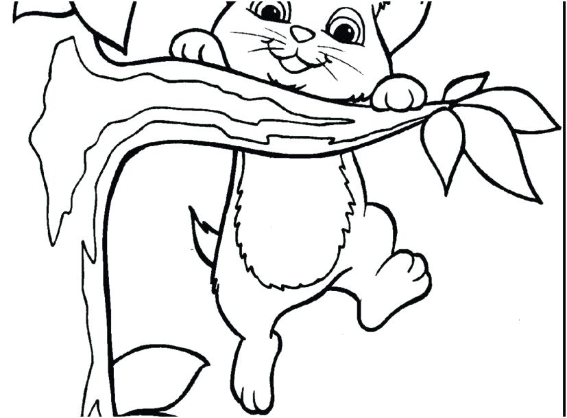 827x609 Kittens Coloring Page Impair.co