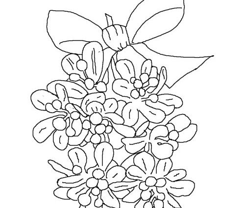 500x425 Printable Coloring Sheets Christmas Mistletoe Christmas Mistletoe