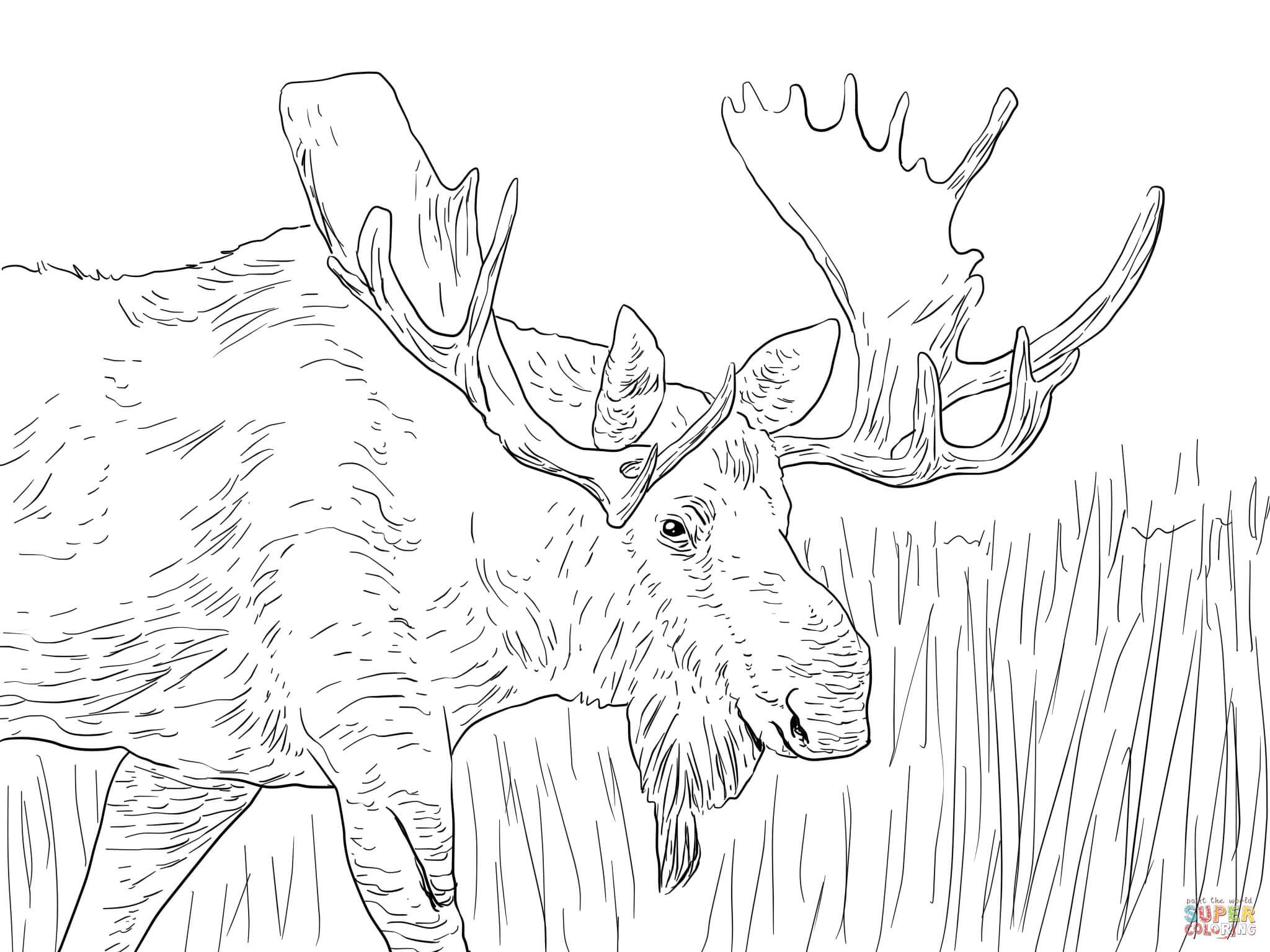 2048x1536 Christmas Coloring Pages Reindeer Colouralaska Coloring Pages