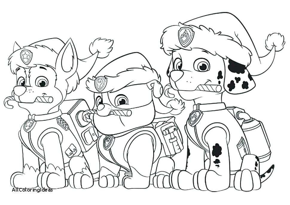 970x686 Paw Patrol Pictures To Color With Coloring Paw Patrol Paw Patrol