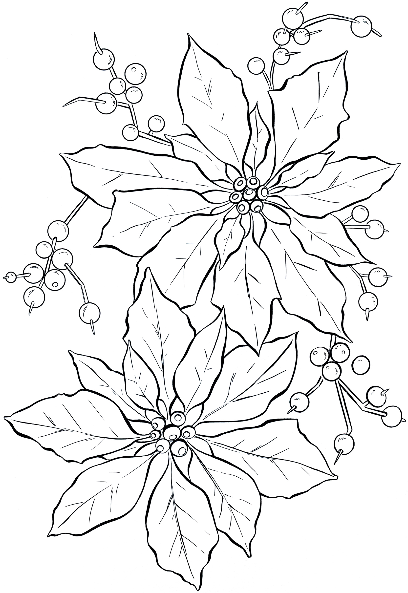 1651x2400 Poinsettia Coloring Page