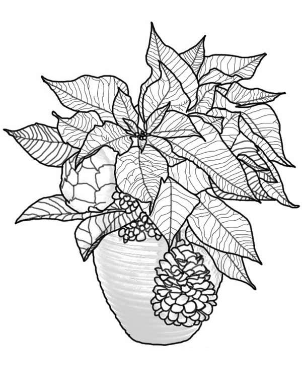 600x776 Christmas Poinsettia Coloring Page Color Luna