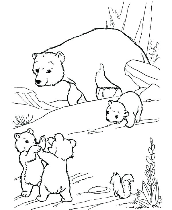 Polar Bear Coloring Pages Polar Bear Coloring Sheets Polar Bear 600x734 Polar Bear Coloring Pages Polar Bear Coloring Sheets Polar Bear