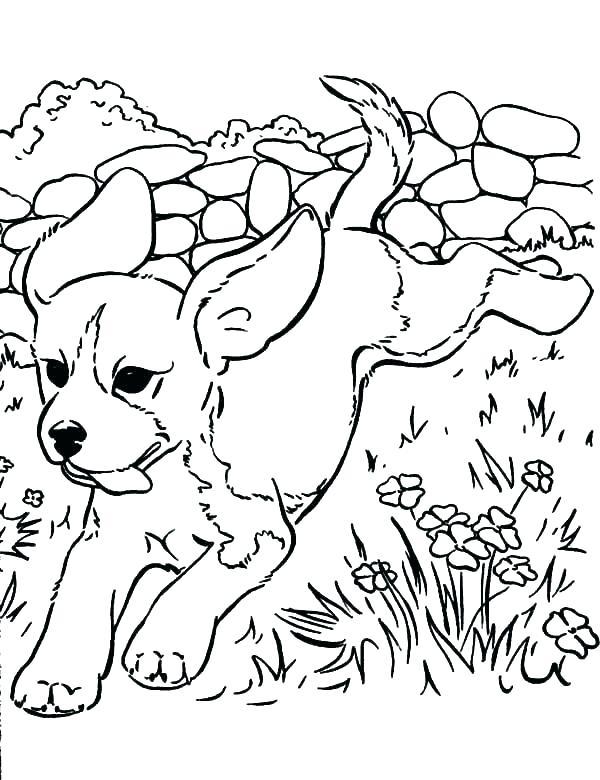 600x780 Coloring Pages Puppy