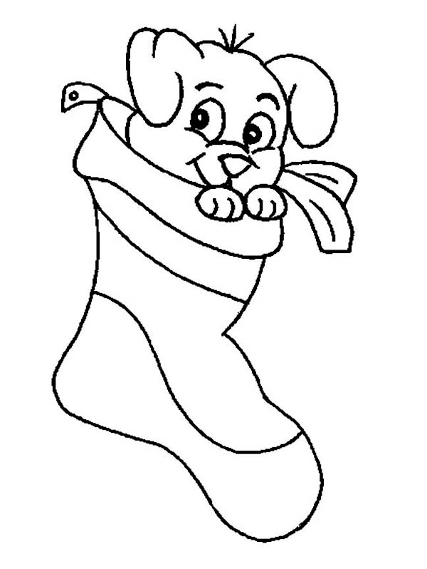 600x798 A Cute Little Puppy On Christmas Stocking Coloring Page