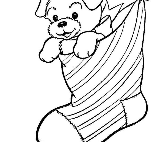 A Puppy Dog In A Christmas Stocking Coloring 678x600 A Puppy Dog In A Christmas Stocking Coloring