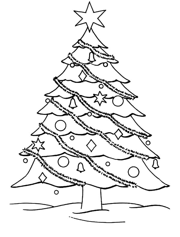 600x789 Decorate Your Christmas Trees Coloring Pages Color Luna
