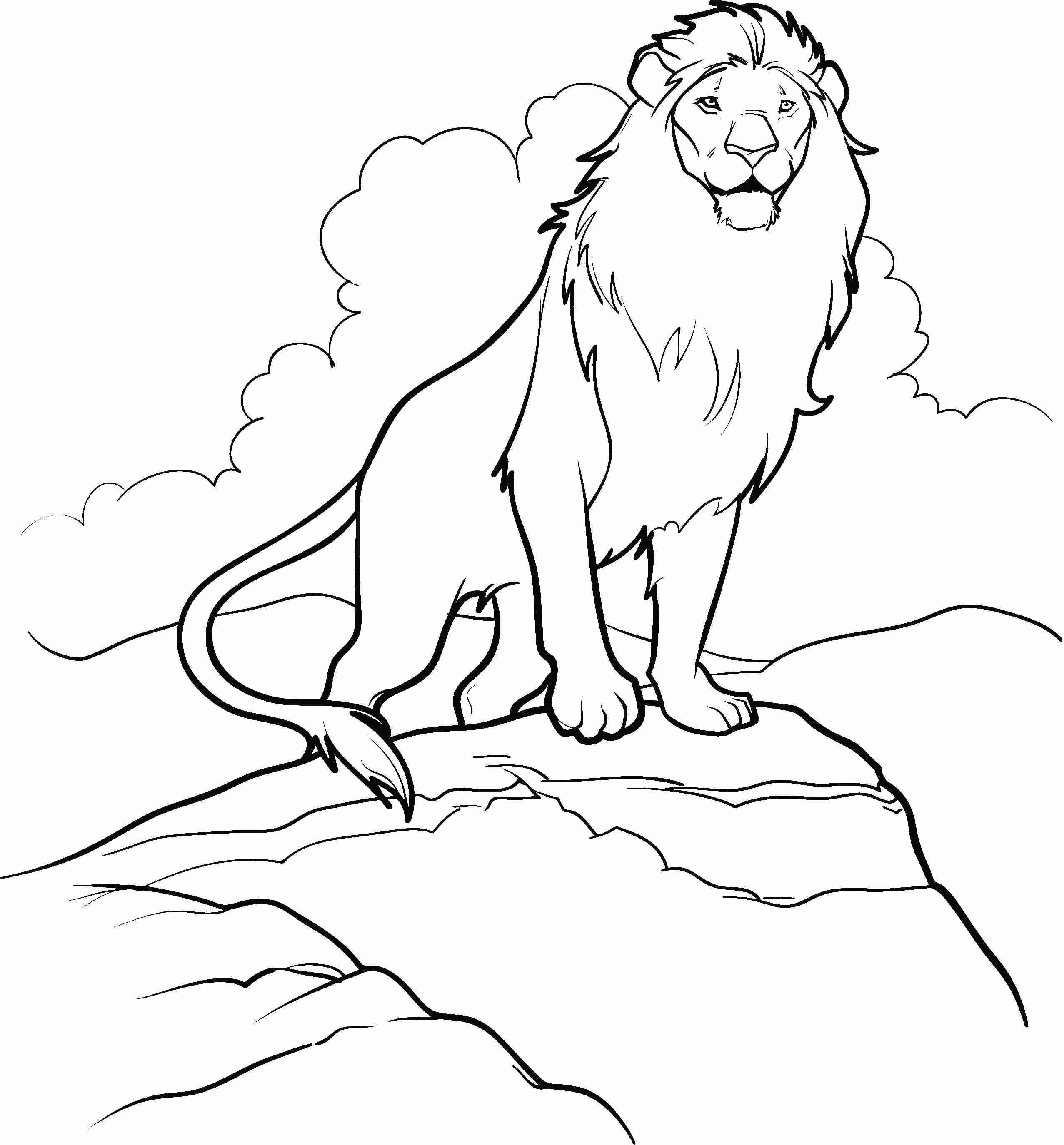 Narnia Coloring Pages To Print Colouring For Kids And Girls 2554x2750 Narnia Coloring Pages To Print Colouring For Kids And Girls