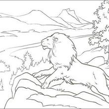 The Chronicles Of Narnia Coloring Book Pages 220x220 The Chronicles Of Narnia Coloring Book Pages