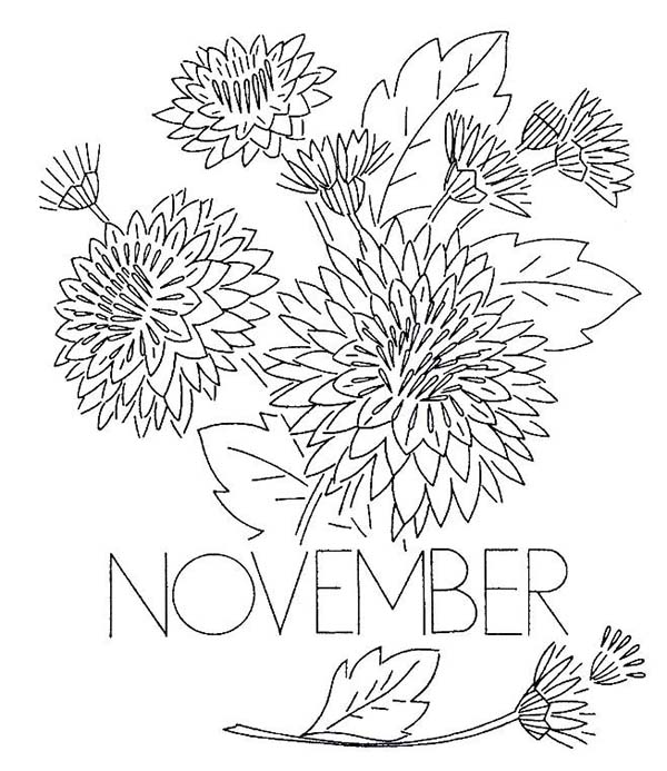600x693 November Chrysanthemum Flower Coloring Pages
