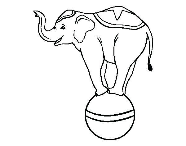 600x470 Elephants Coloring Pages Elephant Coloring Sheets Elephant Color