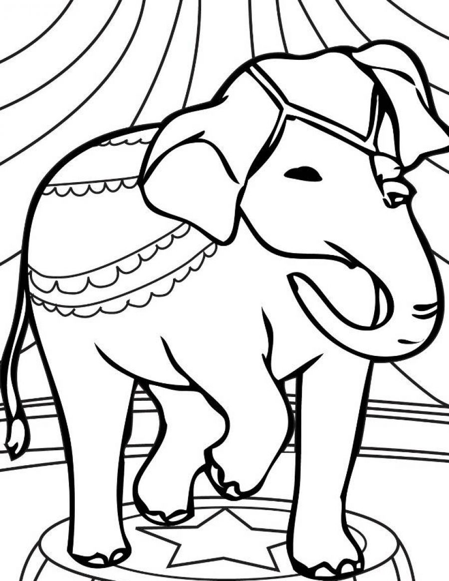 900x1164 Best Of Funny Elephant Coloring Pages