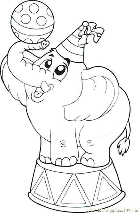 567x859 Circus Animal Coloring Pages A Circus Elephant Coloring Page