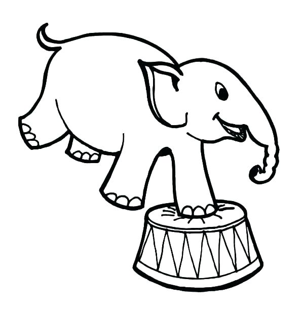 600x616 Circus Coloring Pages Circus Elephant Coloring Page How To Draw