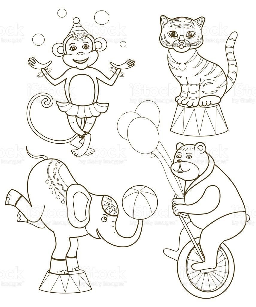 855x1024 Stunning Circus Seal Coloring Pages Winx Books Coloring Pages