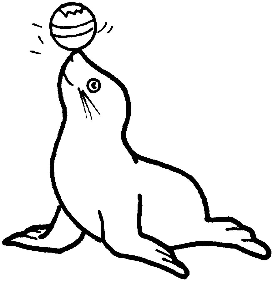 Seal Coloring Pages 873x900 Seal Coloring Pages
