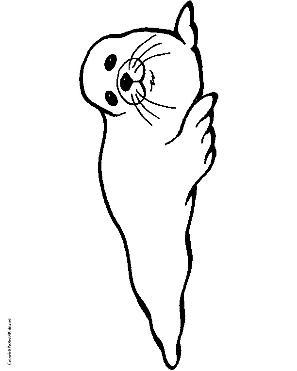 Seal Coloring Pages Harp Seal Clipart Coloring Page Pencil And 612x765 Seal Coloring Pages Harp Seal Clipart Coloring Page Pencil And