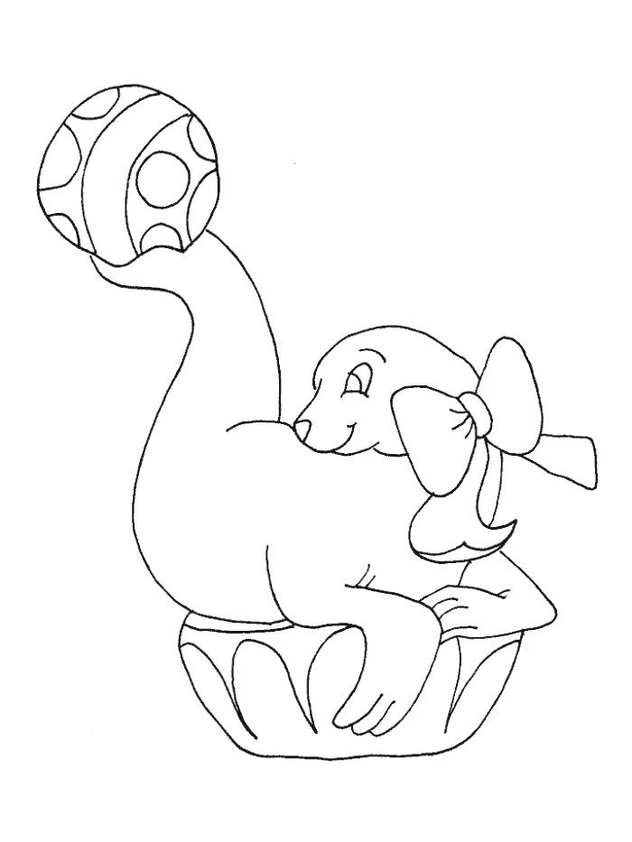 Seals Coloring Pages 700x933 Seals Coloring Pages