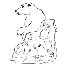 Top 10 Free Printable Seal Coloring Pages For Toddlers 230x230 Top 10 Free Printable Seal Coloring Pages For Toddlers