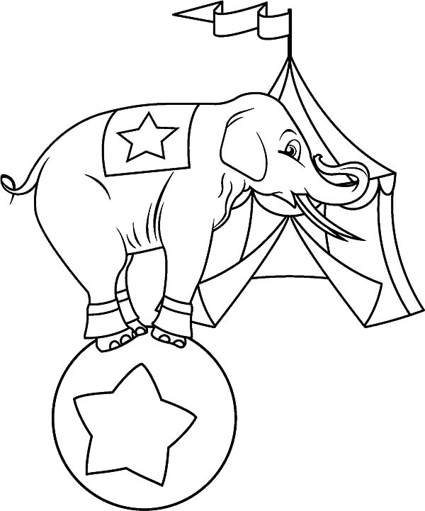 600x721 Circus Elephant In Front Of Circus Tent Coloring Pages Best