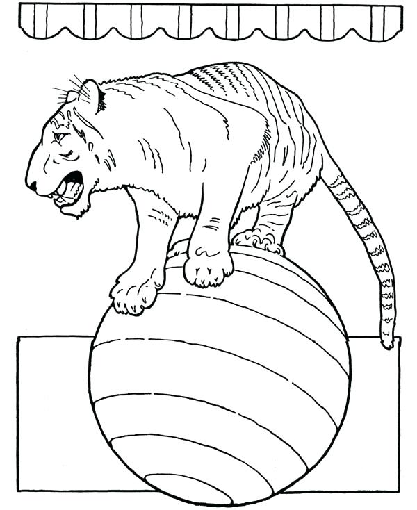600x734 Circus Train Colouring Pages Printable Coloring Circus Themed
