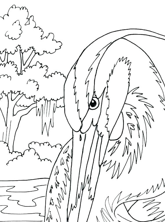 Digital Coloring Pages Great Blue Heron Coloring Page Amazing 570x768 Digital Coloring Pages Great Blue Heron Coloring Page Amazing