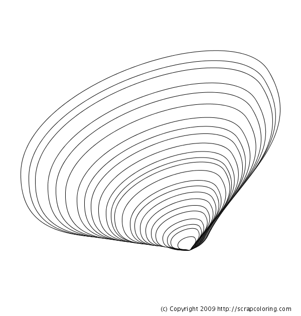 Clam Shell Coloring Page 600x630 Clam Shell Coloring Page