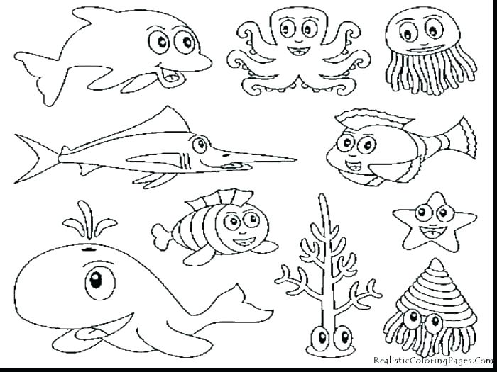 Marine Coloring Page Marine Coloring Pages Clam Coloring Page 700x525 Marine Coloring Page Marine Coloring Pages Clam Coloring Page