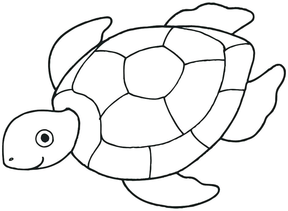 Printable Seashell Coloring Pages For Kids Seashell Coloring Pages 940x691 Printable Seashell Coloring Pages For Kids Seashell Coloring Pages