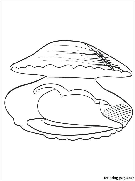 Clam Coloring Pages For Toddlers Clam Coloring Page Clam 560x750 Clam Coloring Pages For Toddlers Clam Coloring Page Clam