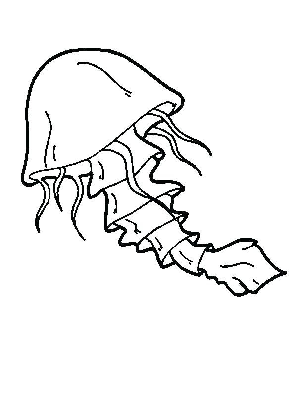 600x800 Coloring Pages Of Jellyfish Clarinet Coloring Page Coloring Pages
