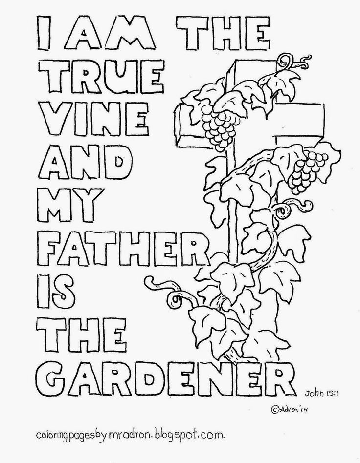 I Am The Vine Coloring Page Az Pages Bible Class Q1 2017 736x948 I Am The Vine Coloring Page Az Pages Bible Class Q1 2017