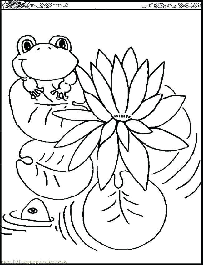 650x847 Monet Coloring Pages Water Lily Coloring Pages Images Pictures