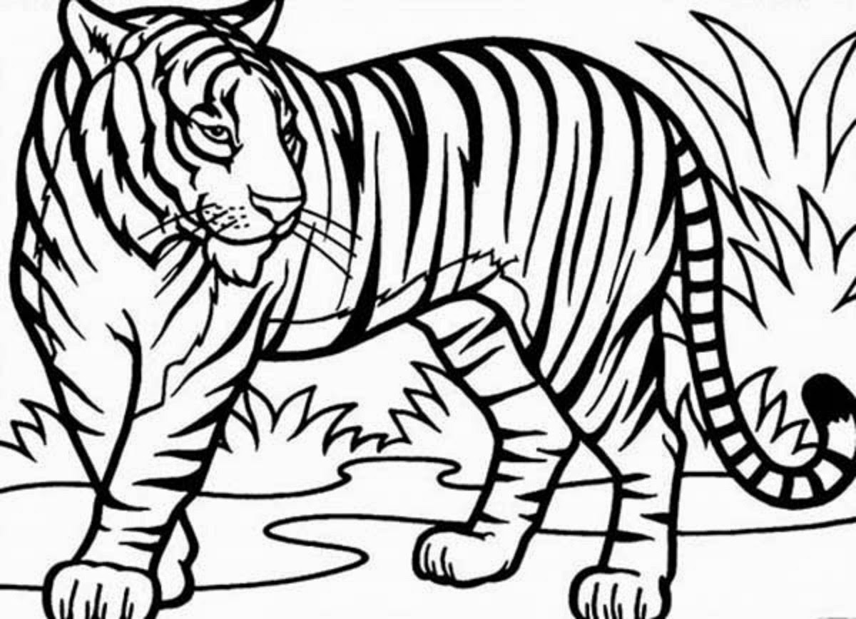 1200x868 Easy Tiger Pictures To Colour Security Of Tige