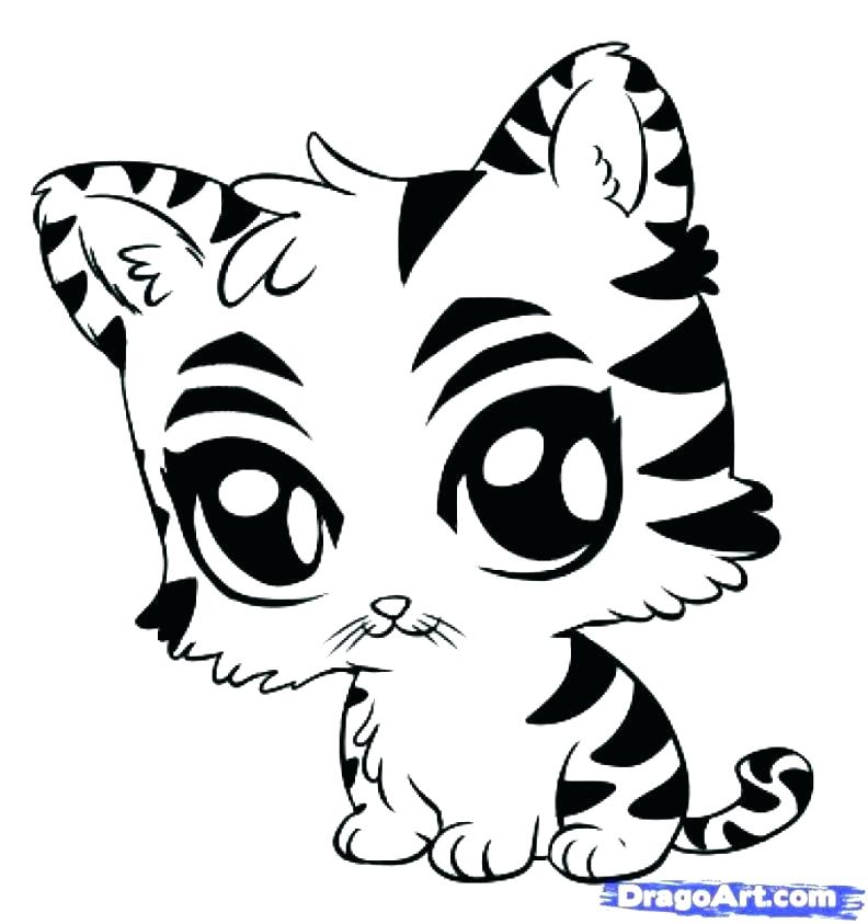 792x843 Paw Print Coloring Page Tiger Paw Coloring Page Paw Print Coloring