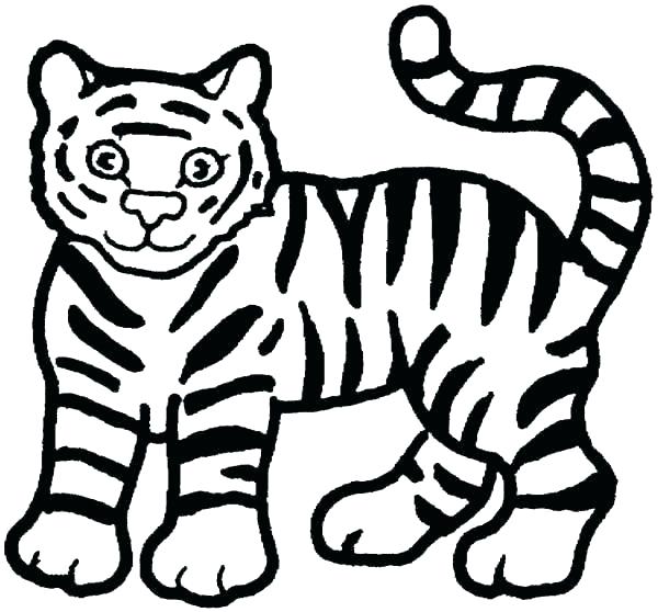 600x558 Tiger Color Page Free Tiger Coloring Pages Tiger Cub Coloring