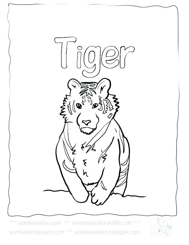612x792 Tiger Color Page Tiger Tiger Coloring Page Free Printable Tiger