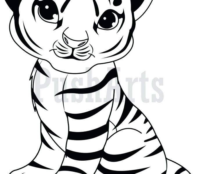 678x600 Tigers Coloring Pages The Turtle A The Tiger A The Cheetah Clemson